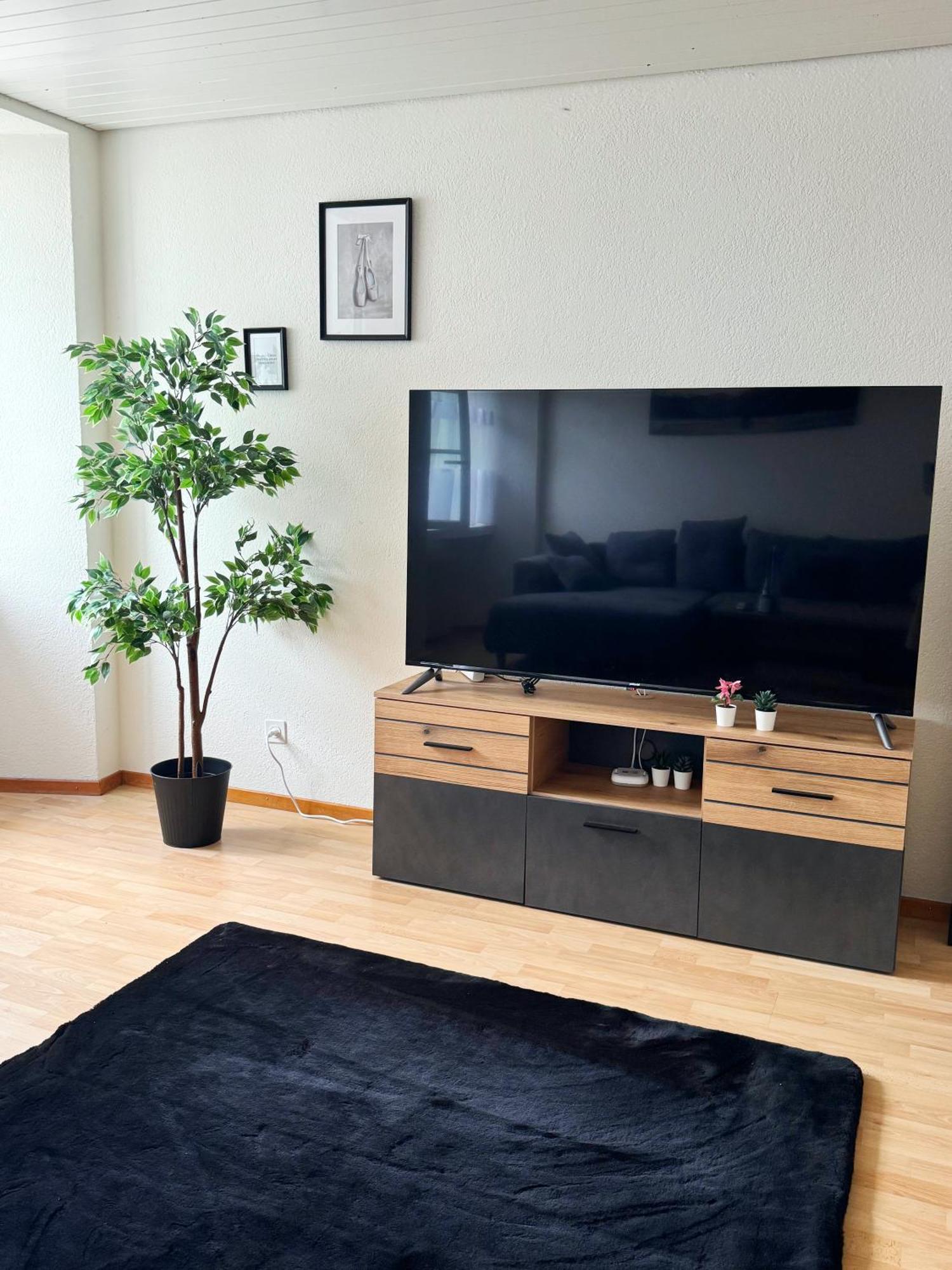 Ferienwohnung Tas24Ch Travel And Sleep 24 St. Gallen Exterior foto